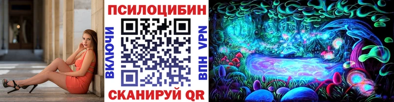 купить наркоту  мега ONION  Псилоцибиновые грибы Psilocybe  Беломорск 
